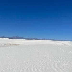 Meet your Posher, Christy